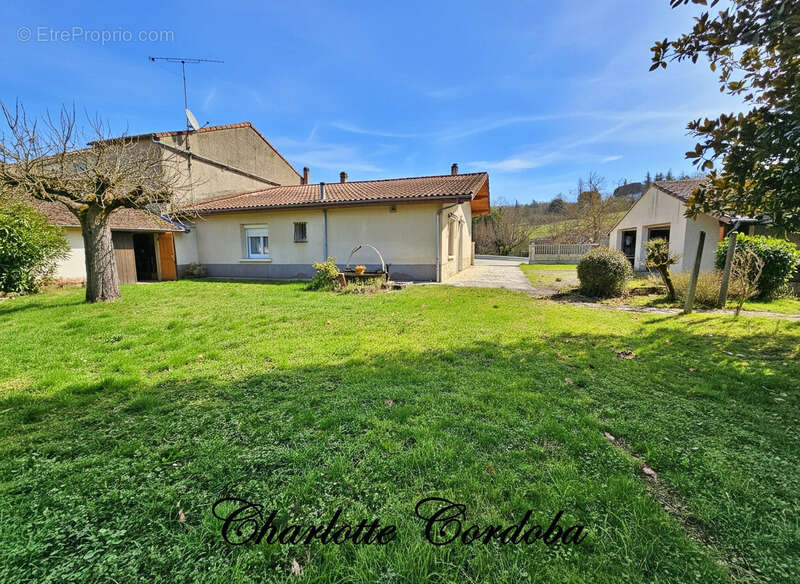 Maison plain-pied 3 chambres - Double garage - Dépendances - 2980 m² de terrain et bois - photo 3