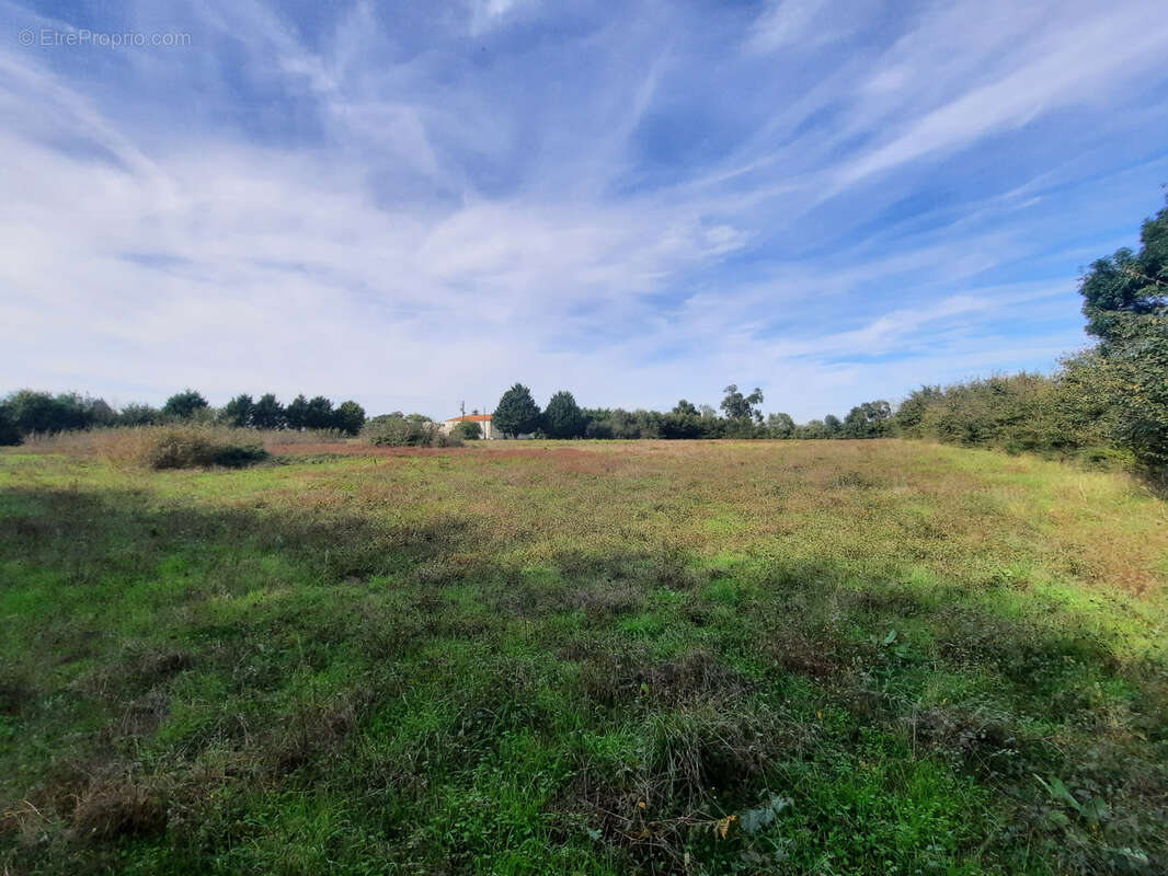 Maison à NUAILLE-D&#039;AUNIS