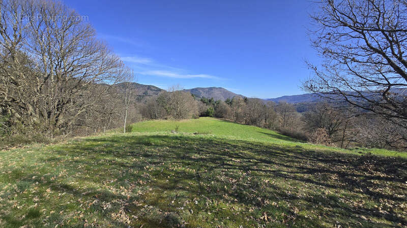 Terrains constructibles de 15 964,00 m² SAINT CIERGE SOUS LE CHEYLARD (07) - photo 9