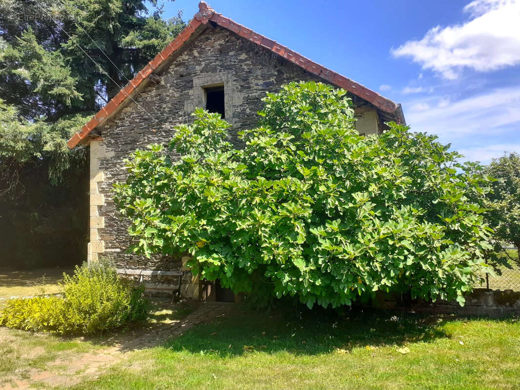 Maison de bourg rénovée avec grand jardin arboré - photo 14
