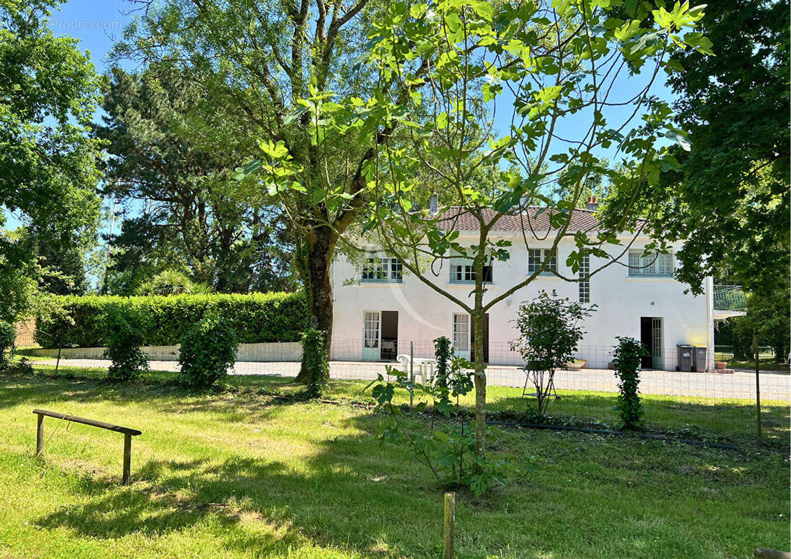 Ensemble immobilier sur un parc de 6 hectares ! - photo 8