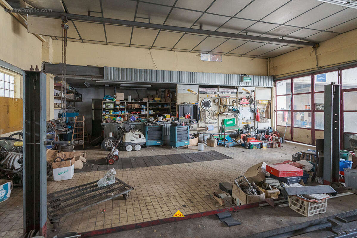 Commerce à CARCASSONNE