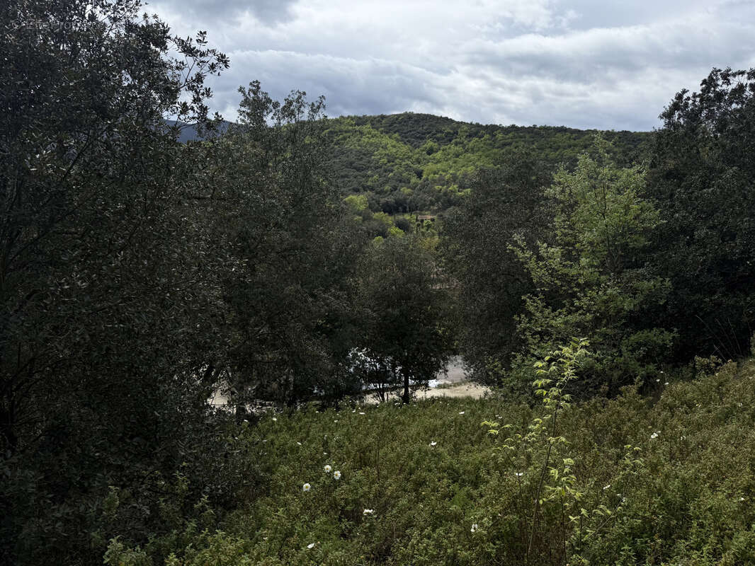 Reynes - terrain agricole - photo 2