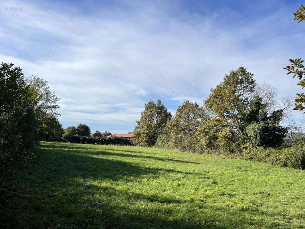 Terrain à SAINT-NICOLAS-DE-LA-GRAVE