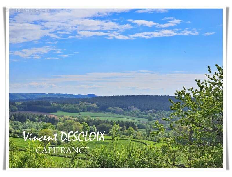 Maison à MONTSAUCHE-LES-SETTONS