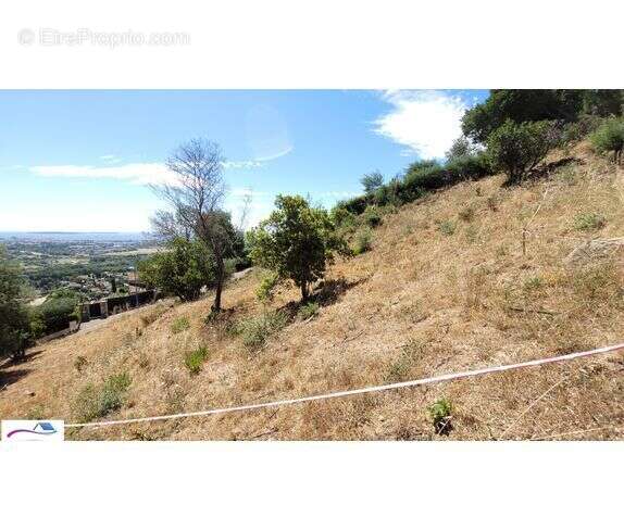 Terrain à MANDELIEU-LA-NAPOULE