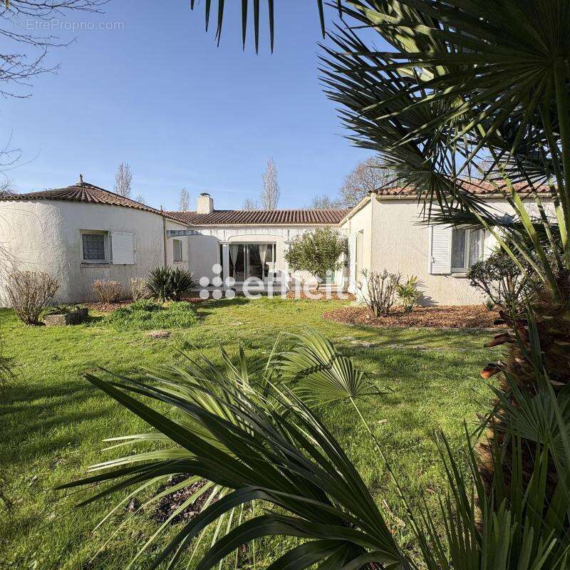 Maison à SAINTE-FOY