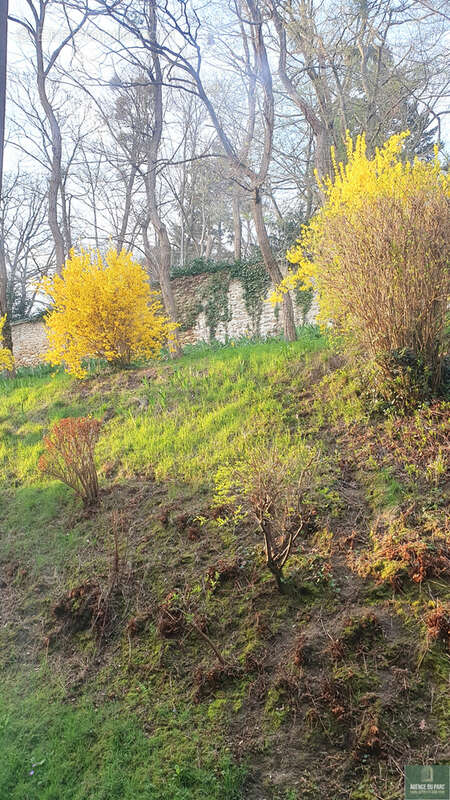Appartement à VILLE-D'AVRAY