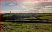 Terrain à POUILLE-LES-COTEAUX