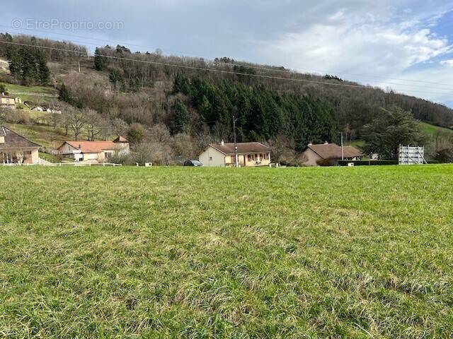 Terrain à COLIGNY