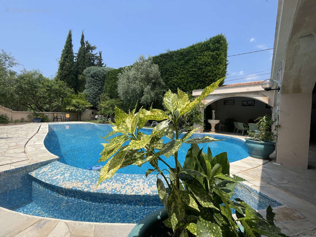 Vaison 2km / belle maison / sh240m2 / terrain 1396m2 / piscine / pool house 100m2 - photo 8