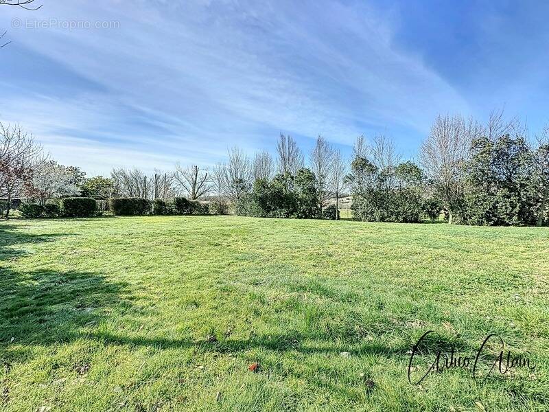 Terrain à VILLEFRANCHE-DE-LAURAGAIS