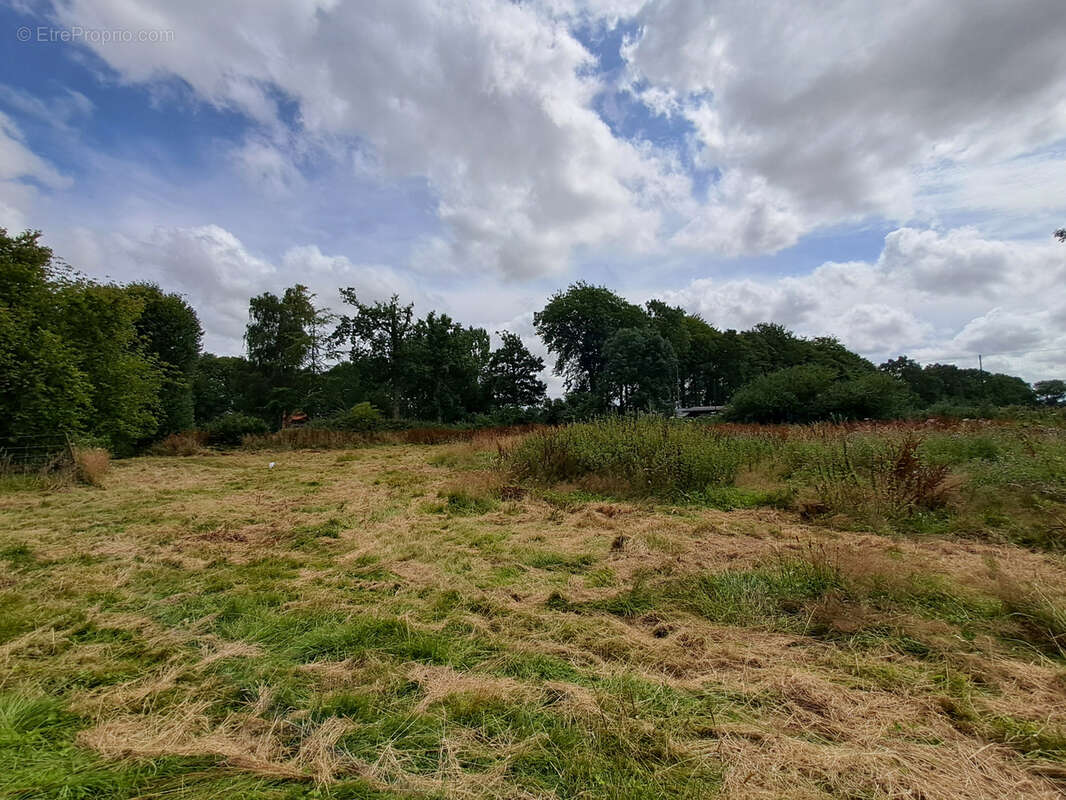 Terrain à VEULES-LES-ROSES