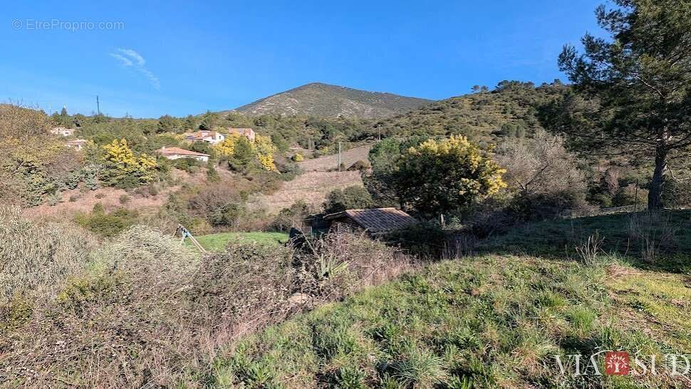 Arrière Pays, Belle villa languedocienne avec studio indépendant - photo 4