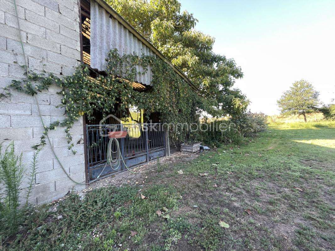 Belle Maison en Pierres - Grand Terrain Arboré - photo 11