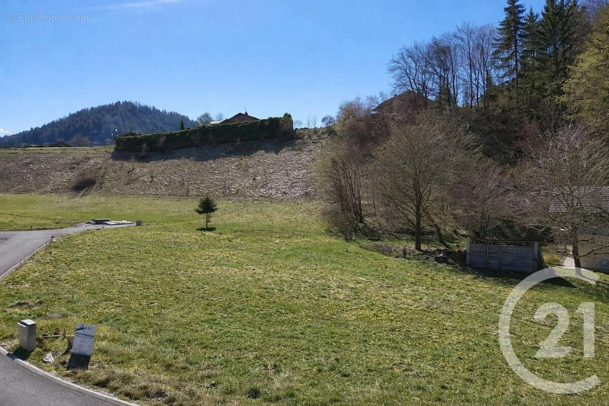 Terrain à MONTRIOND