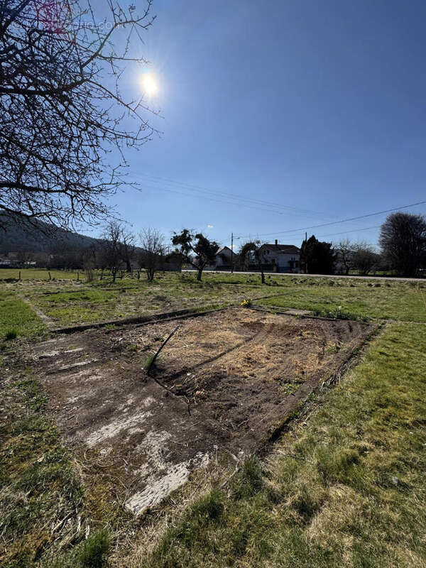 IMG_8590 - Terrain à DOMMARTIN-LES-REMIREMONT