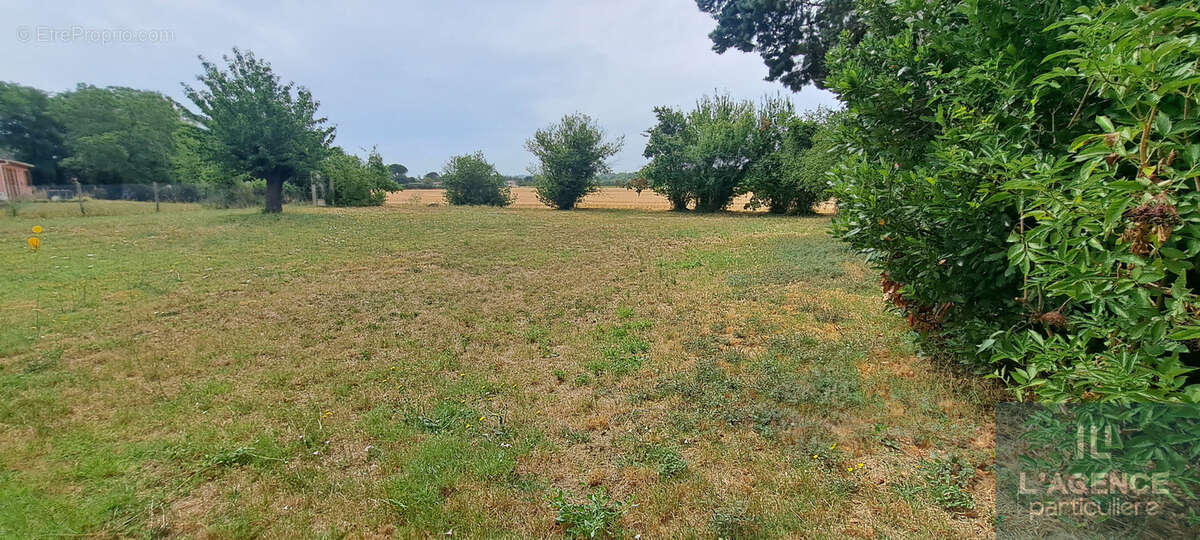 Terrain plat baziege centre - photo 3