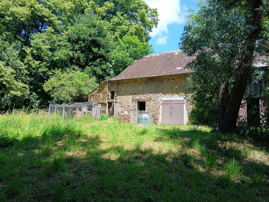 Maison à flanc de colline avec plus d'un hectare de terrain - photo 3