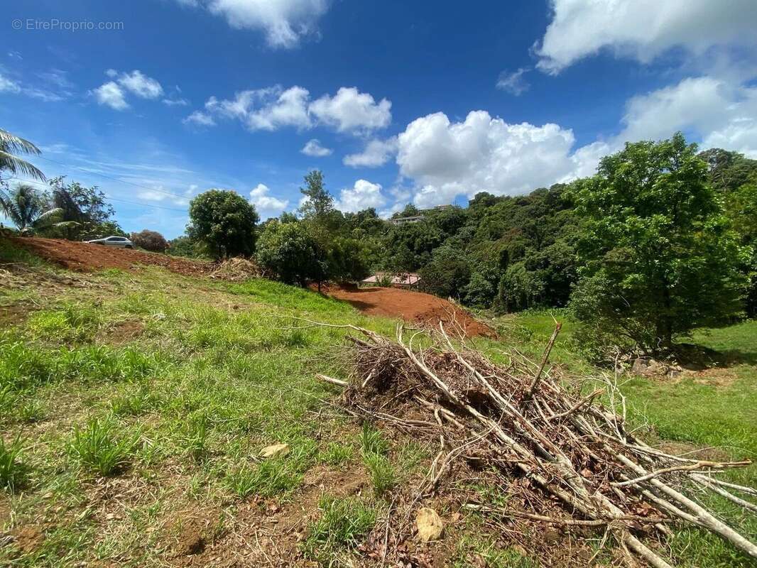 Terrain à LE VAUCLIN