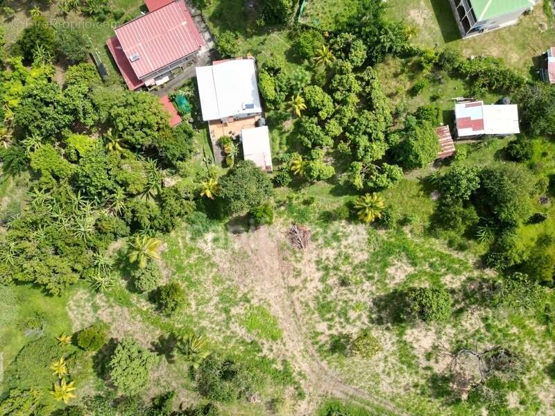Terrain à LE CARBET
