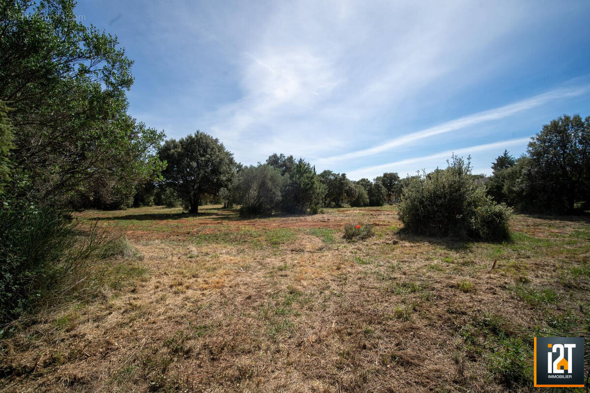 Terrain à SAINT-SIFFRET