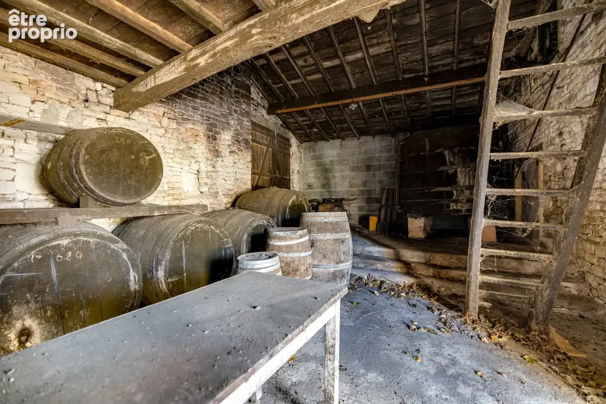 Ensemble immobilier de caractère à Brie-sous-Matha, aux portes de Cognac - photo 25
