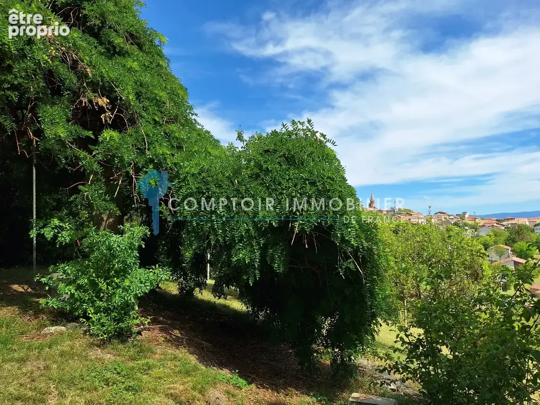 A Vendre Dpt 81 Maison centre-village avec garage et grand terrain - photo 20