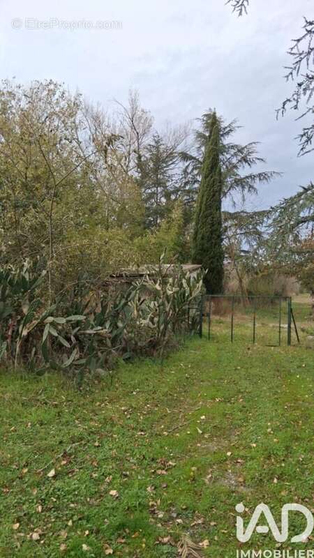 Photo 6 - Terrain à SAINT-JEAN-PLA-DE-CORTS