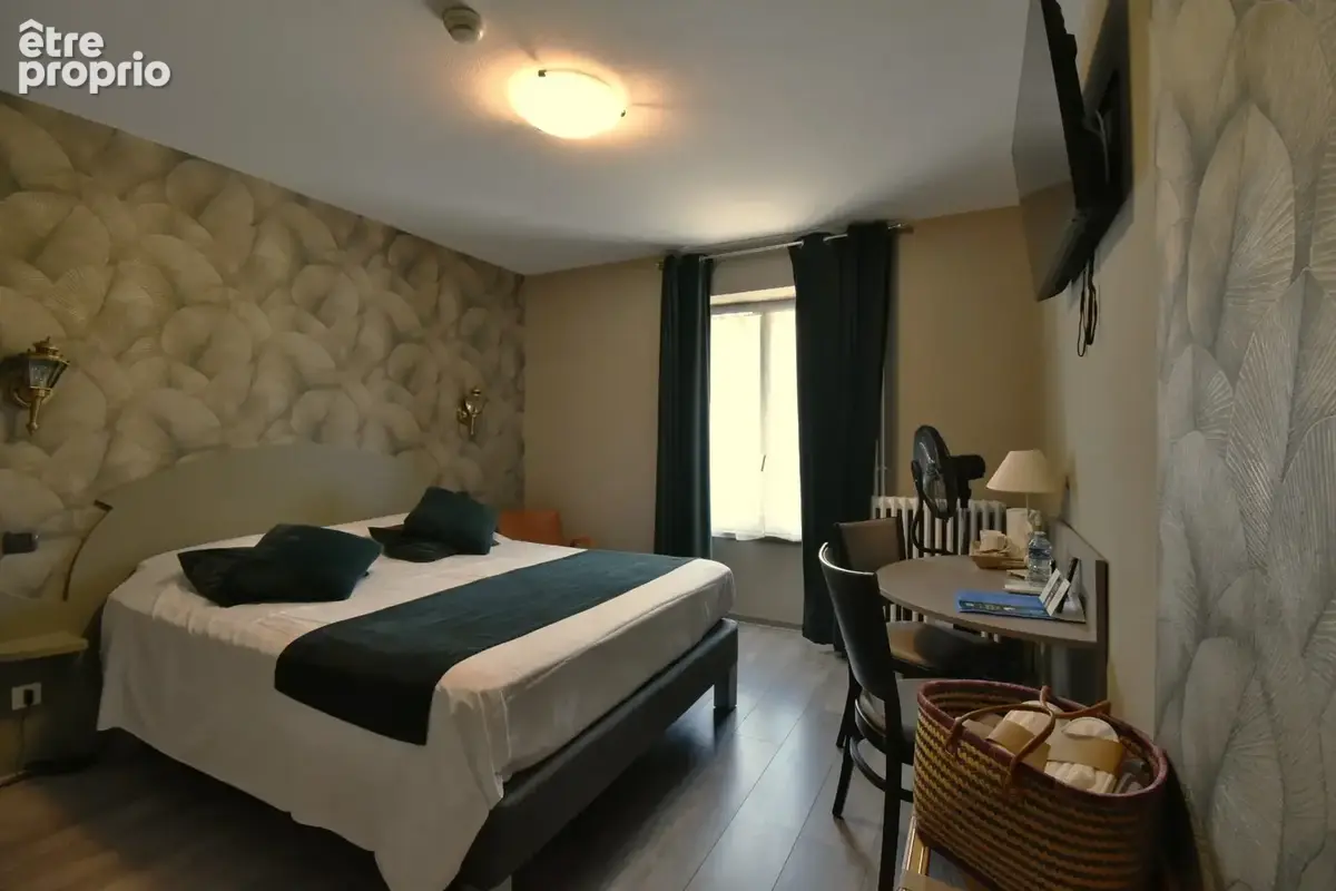 Murs et Fond Hôtel Restaurant Haute-Loire - photo 17