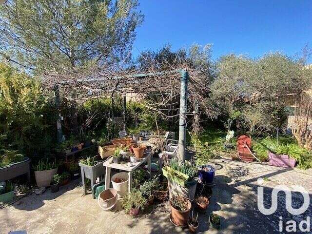 Photo 7 - Maison à SAINT-RAPHAEL