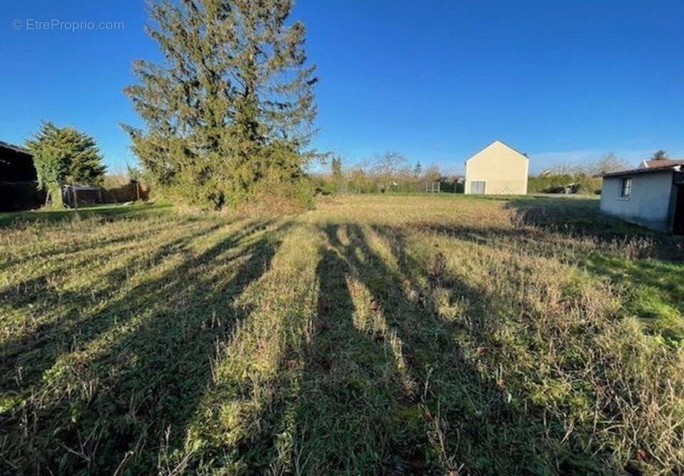 Terrain à AVRIGNY