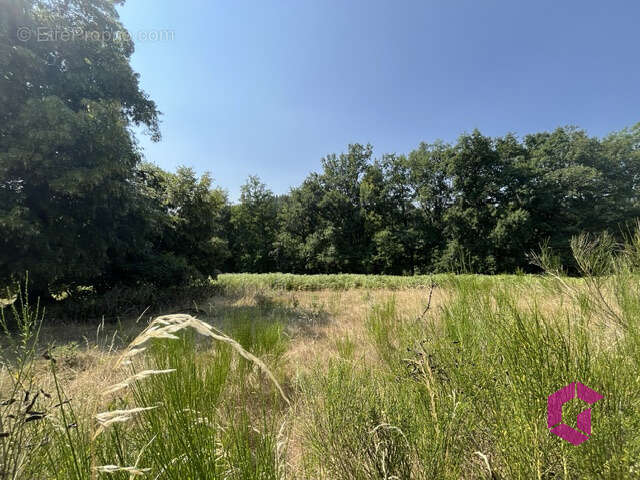 Ferme avec grand potentiel sur plus de 8 ha, possibilité exploitation agricole bio - photo 14