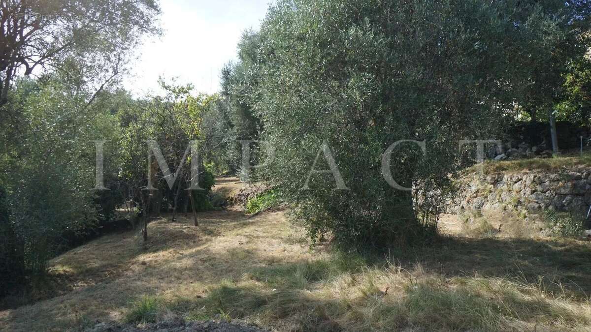 Terrain à CHATEAUNEUF-GRASSE