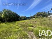 Photo 1 - Terrain à SAINT-PIERRE