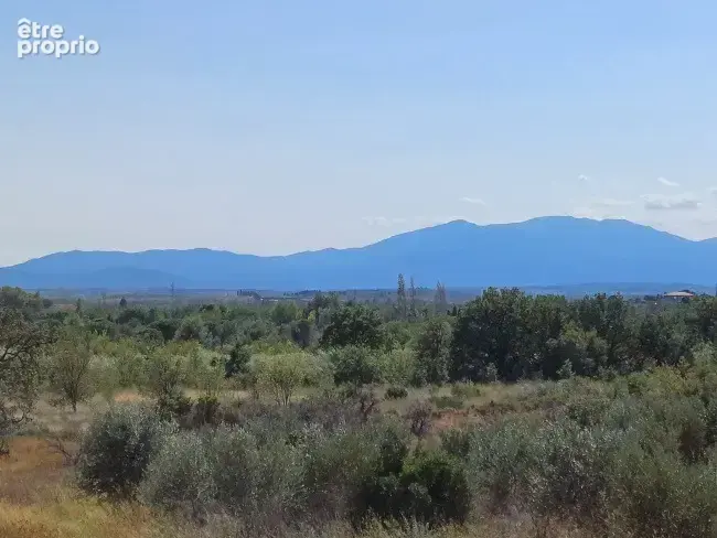 Terrain à MONTESQUIEU-DES-ALBERES