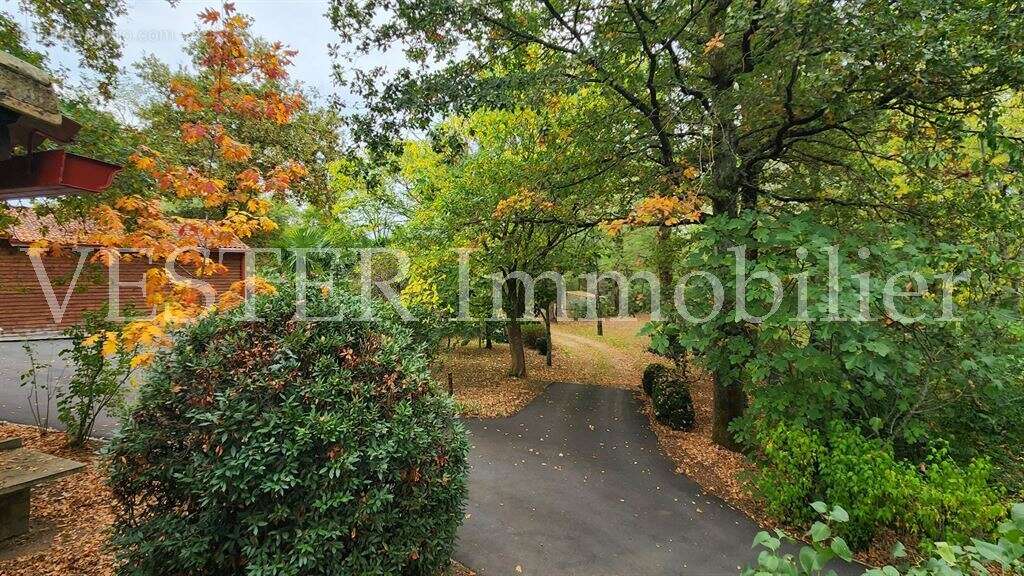 Maison à ECHOURGNAC