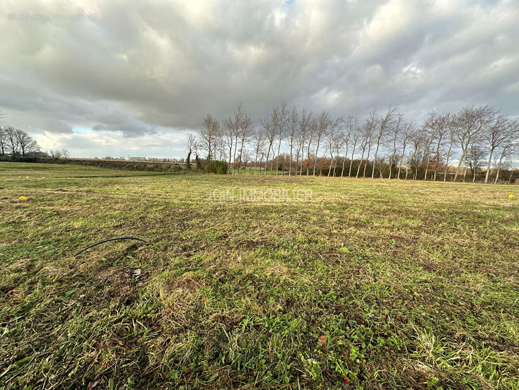 Terrain à LE BOIS-ROBERT