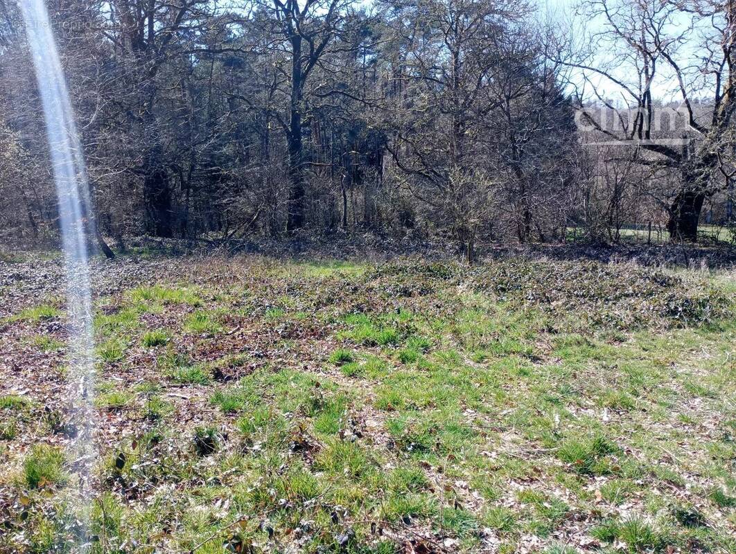 Terrain à ROYERE-DE-VASSIVIERE