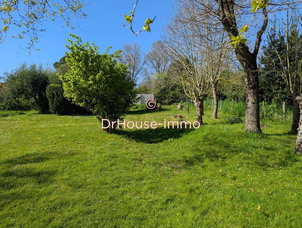 Terrain à L&#039;ILE-D&#039;OLONNE