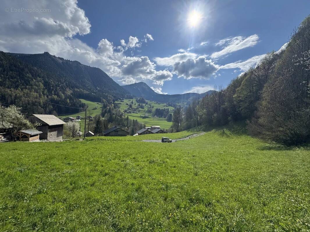 Terrain à ABONDANCE