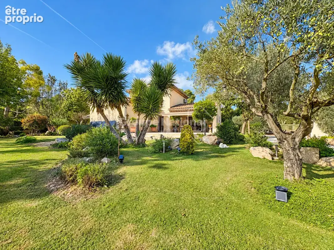 Salon-de-Provence (Bel-Air) : Propriété sur 5000 m² avec piscine - photo 2