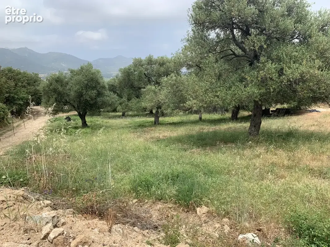 Terrain à batir . - photo 7