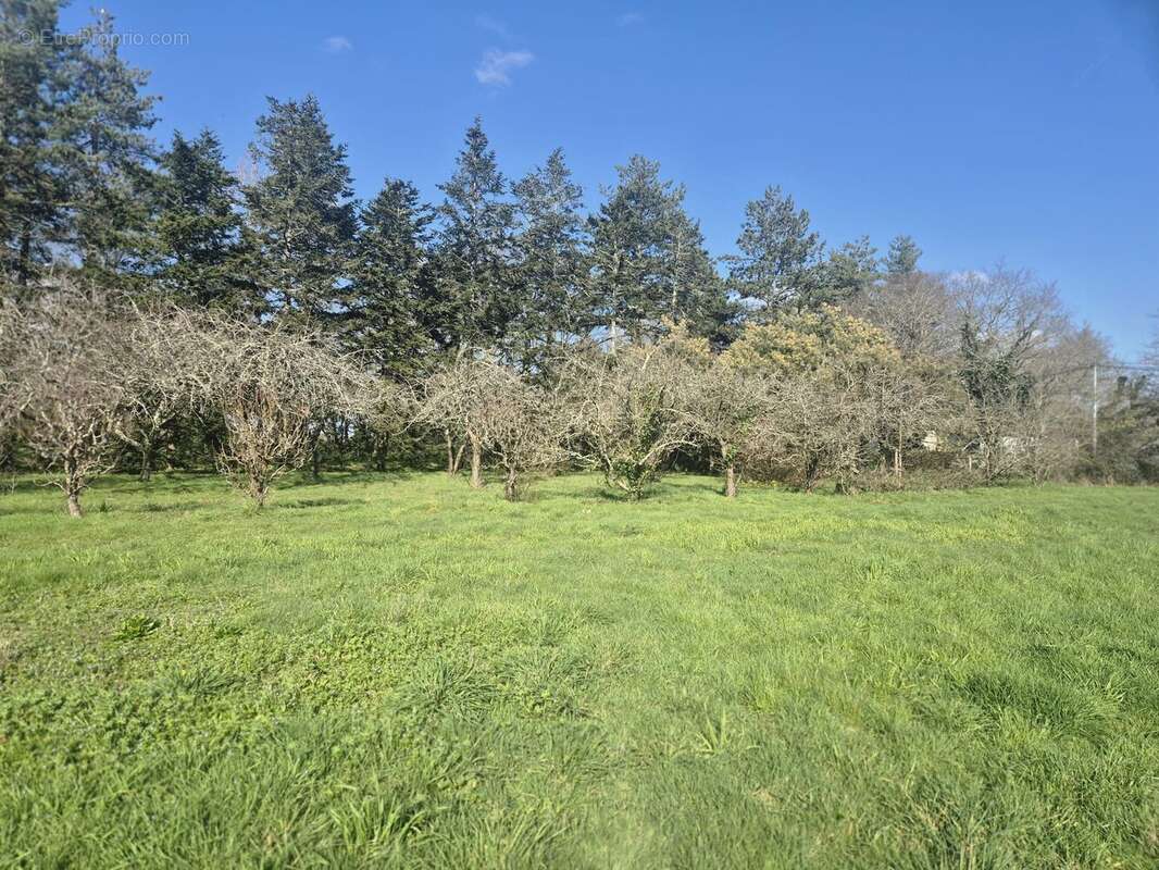 Maison 143 m² à Savenay  - photo 2
