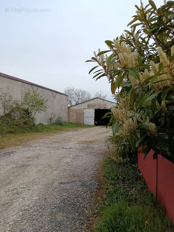 Maison à CEAUX-EN-COUHE