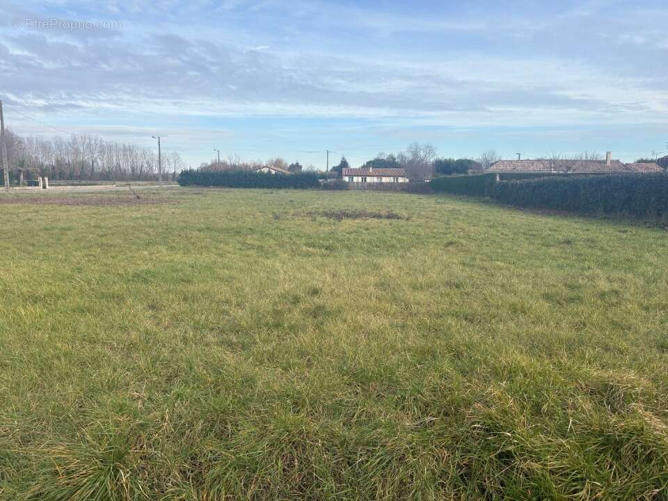 Terrain à FINHAN
