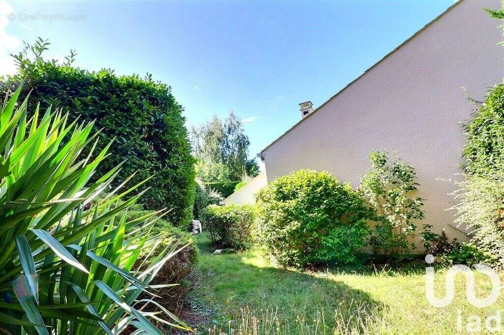 Photo 6 - Maison à NOISIEL