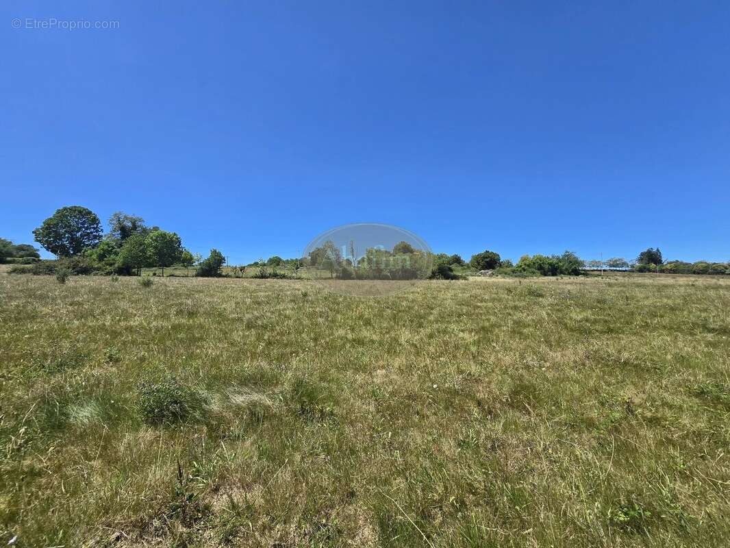 Ferme sur 3 Ha - photo 12
