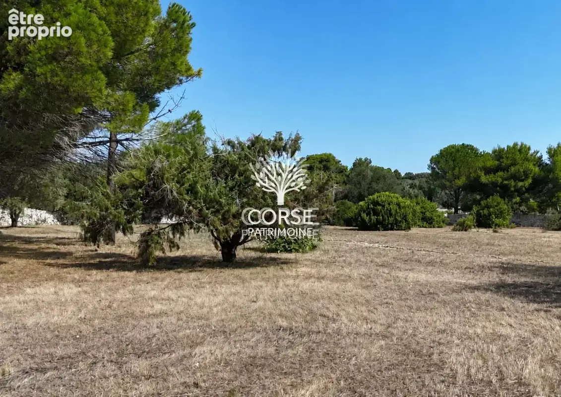 Maison individuelle dans la campagne Bonifacienne sur parcelle constructible - photo 2