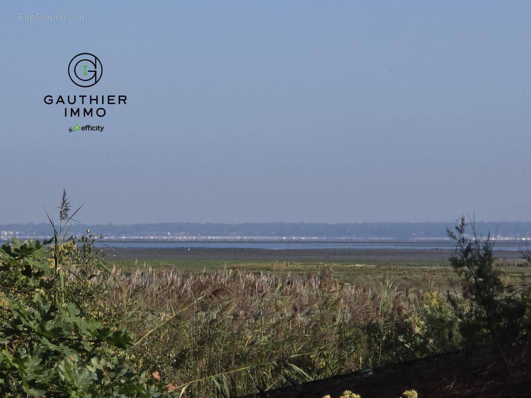 Terrain à GUJAN-MESTRAS